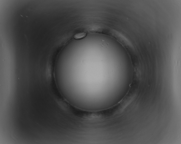 X0000101670546200807101402