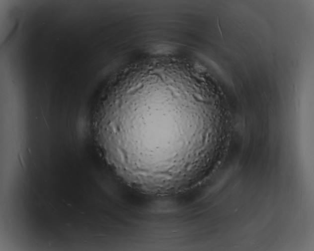 X0000101670547200807101402