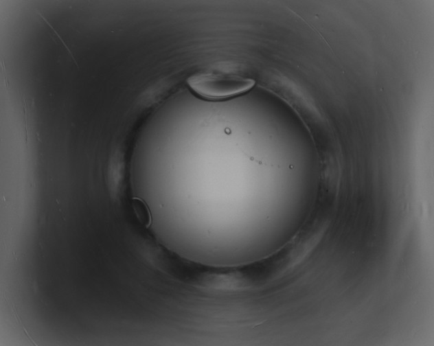 X0000101670548200807101402