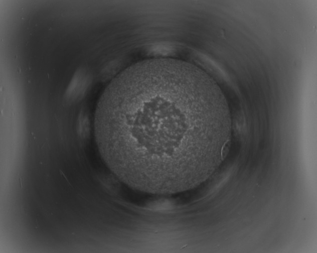 X0000101670551200807101402