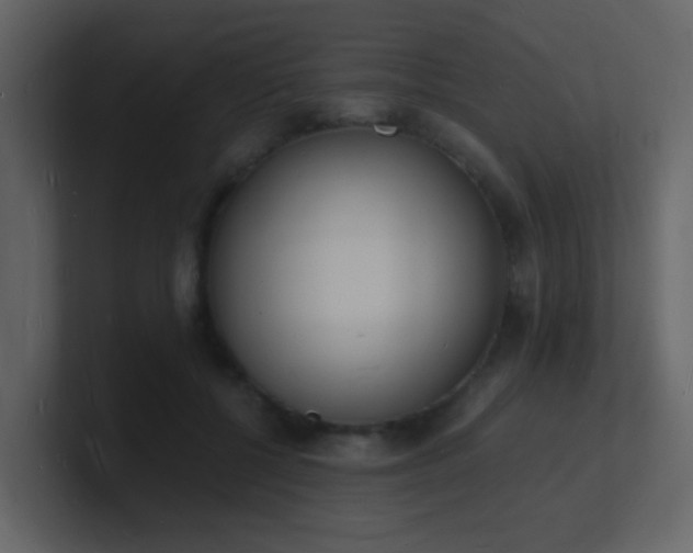 X0000101670552200807101402