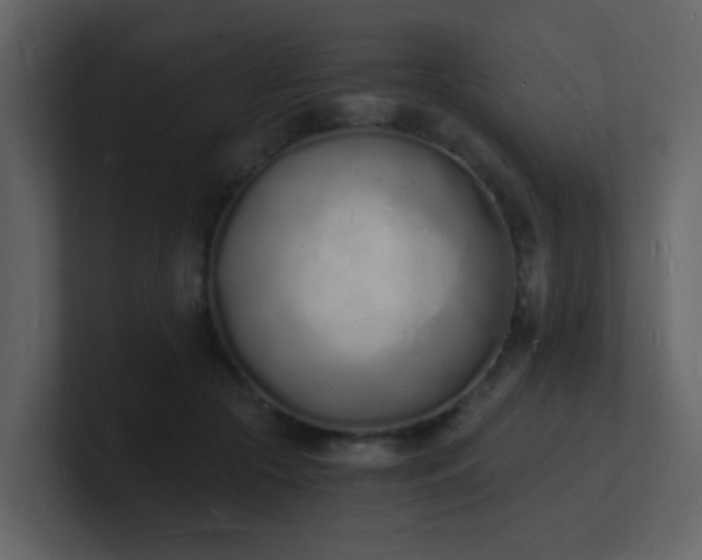 X0000101670553200807101402