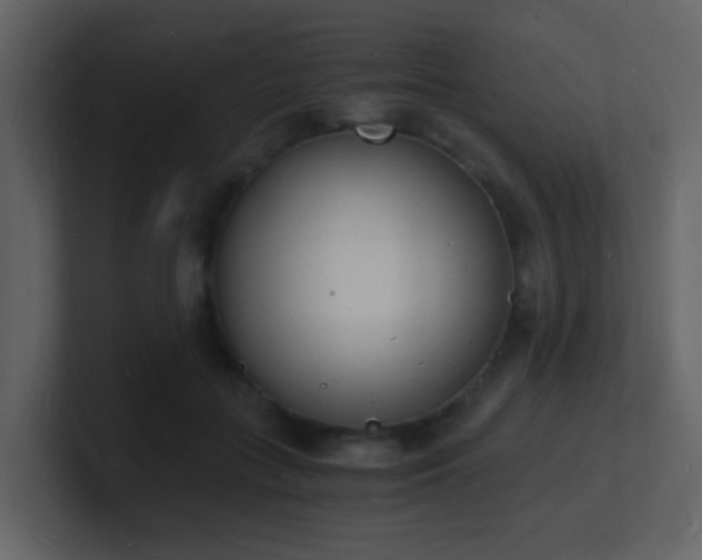 X0000101670555200807101402