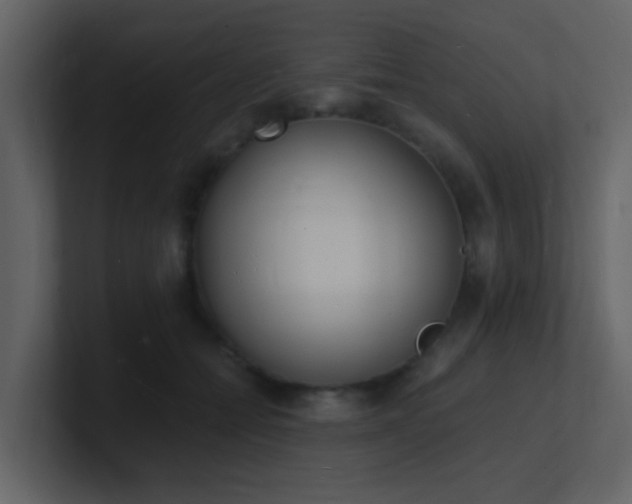 X0000101670558200807101402
