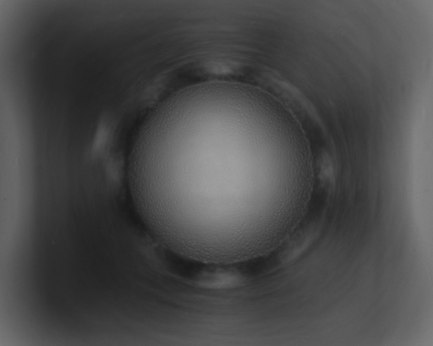 X0000101670559200807101402