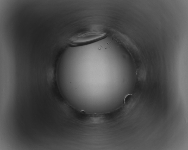X0000101670560200807101403