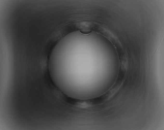 X0000101670561200807101403