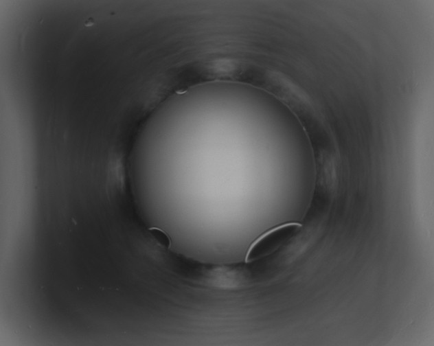 X0000101670562200807101403