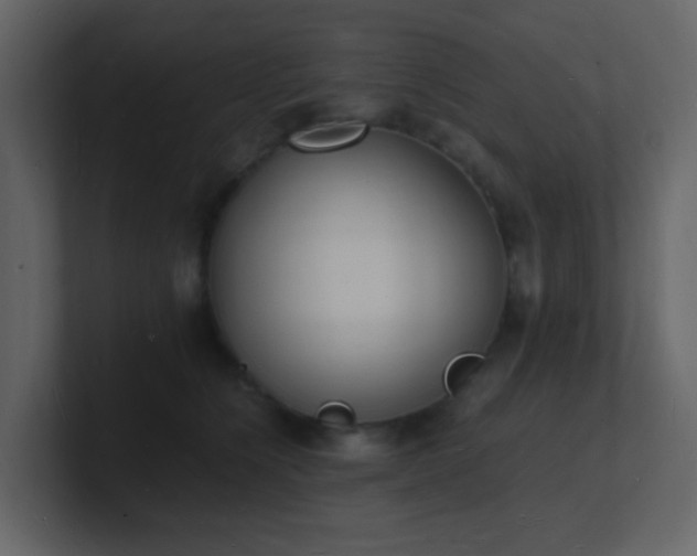 X0000101670564200807101403