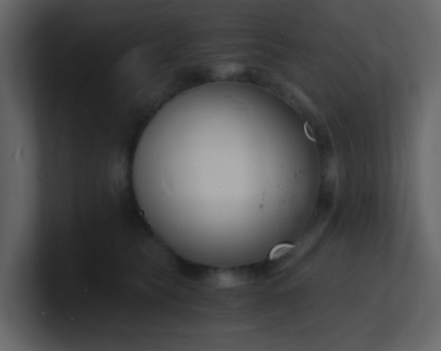 X0000101670565200807101403