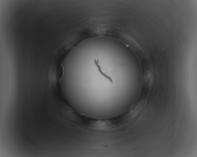 X0000101670566200807101403