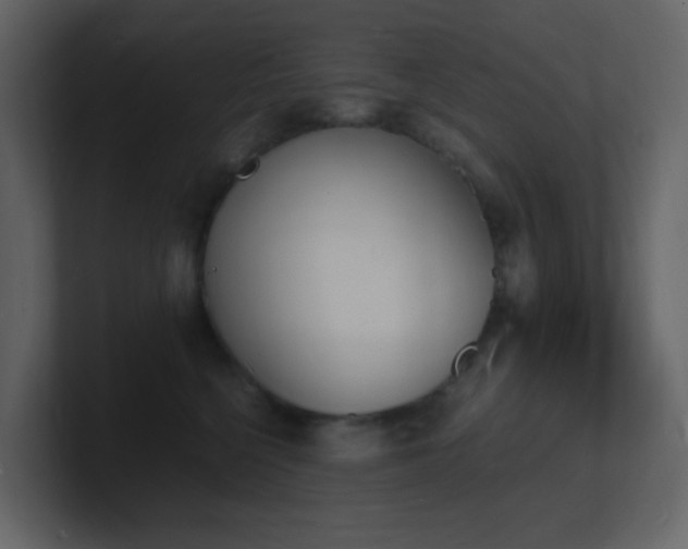 X0000101670568200807101403