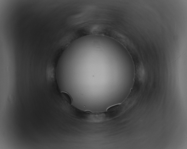 X0000101670571200807101403