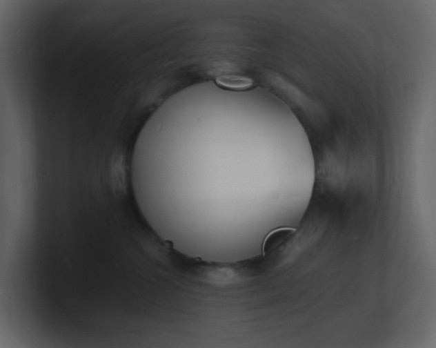 X0000101670572200807101403