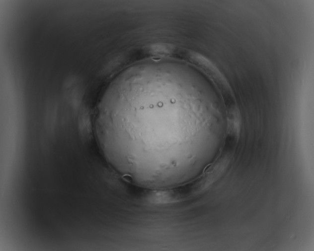 X0000101670573200807101403