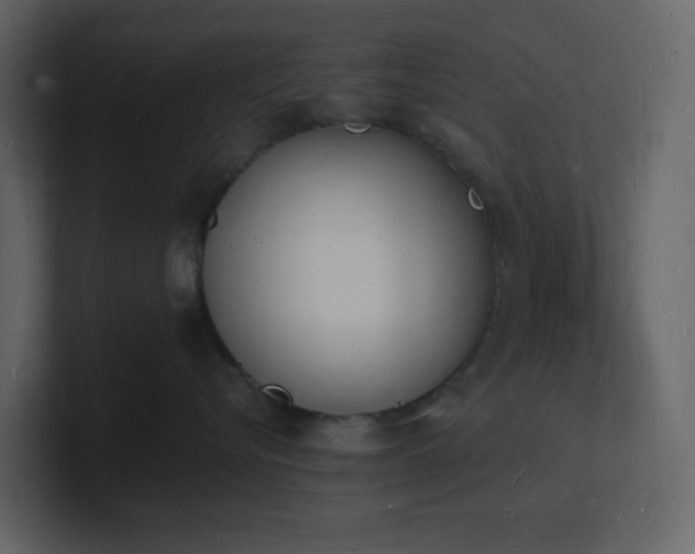 X0000101670576200807101403