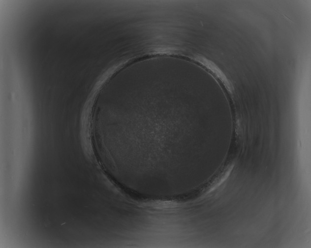 X0000101670577200807101402