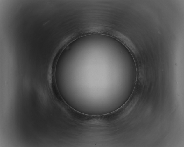 X0000101670578200807101402