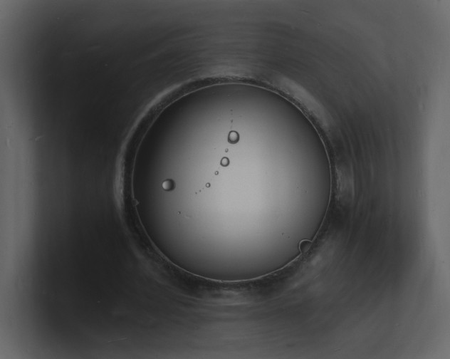 X0000101670580200807101402