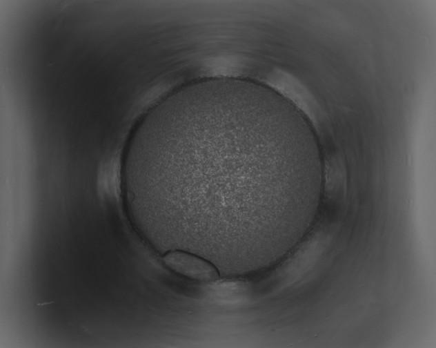 X0000101670581200807101402