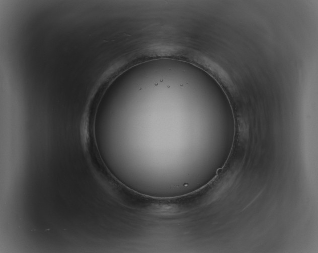 X0000101670582200807101402