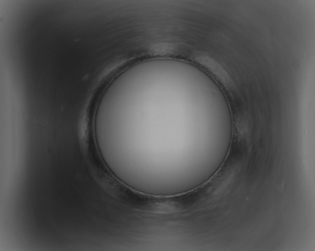 X0000101670583200807101402