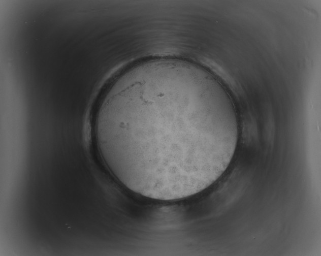 X0000101670584200807101402