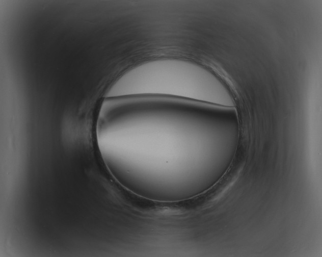 X0000101670585200807101402