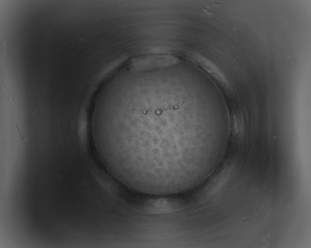 X0000101670588200807101402