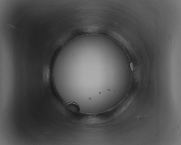 X0000101670589200807101402