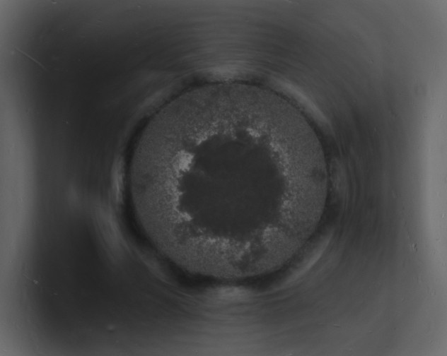 X0000101670590200807101402