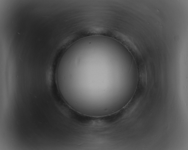 X0000101670591200807101402