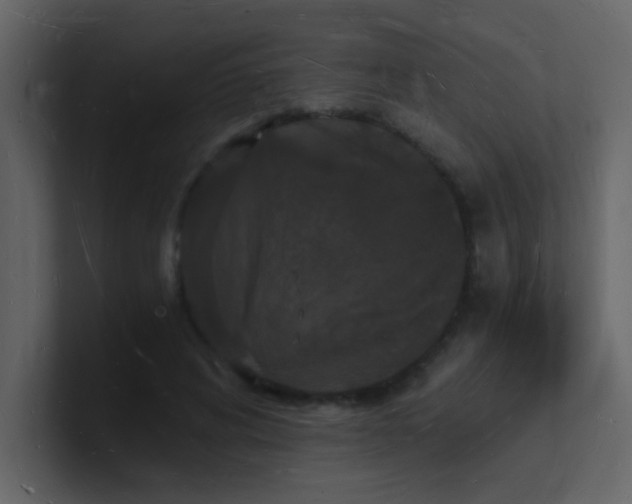 X0000101670592200807101402
