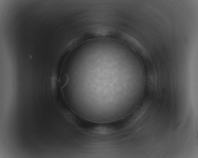 X0000101670596200807101402