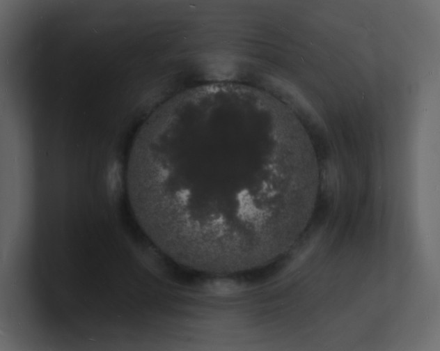X0000101670598200807101402
