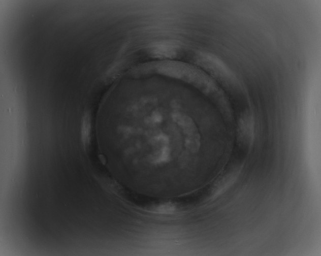X0000101670600200807101402