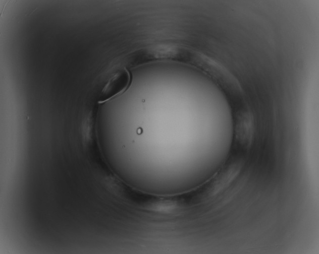 X0000101670604200807101402