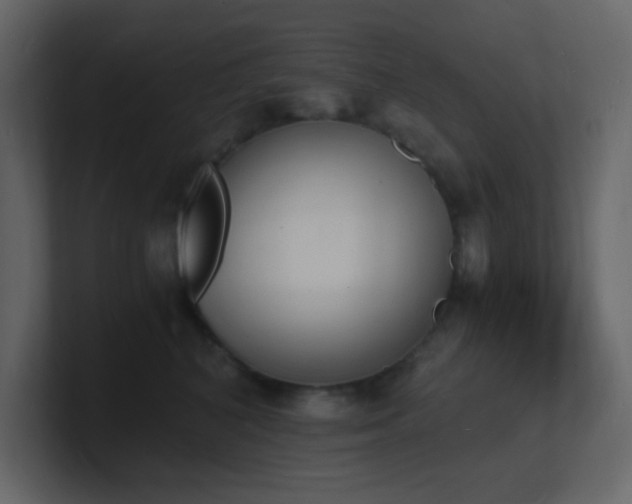 X0000101670616200807101402