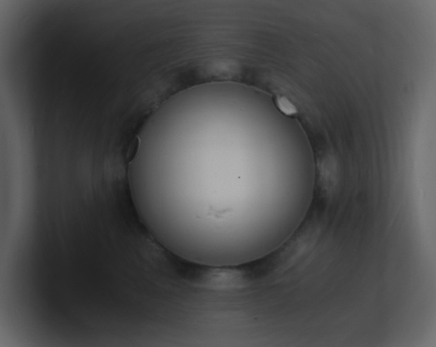 X0000101670617200807101401