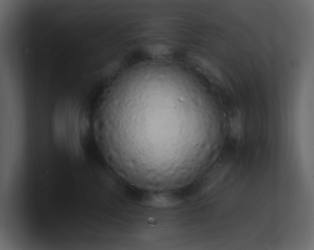 X0000101670618200807101401