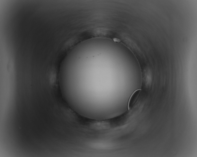 X0000101670619200807101401