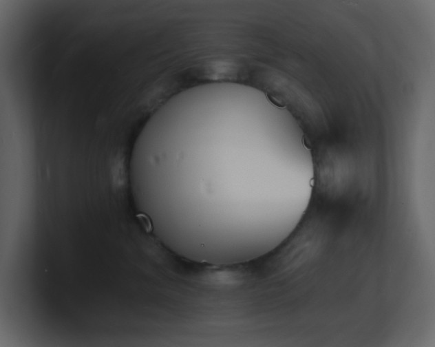 X0000101670620200807101401