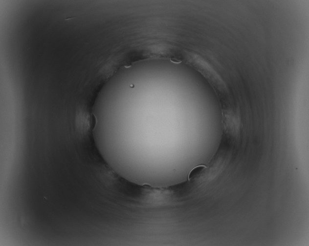 X0000101670621200807101401