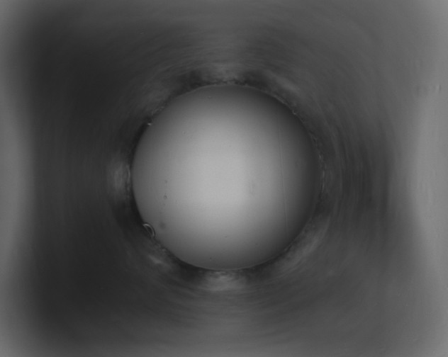 X0000101670624200807101401