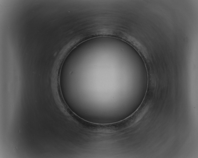 X0000101670625200807101401