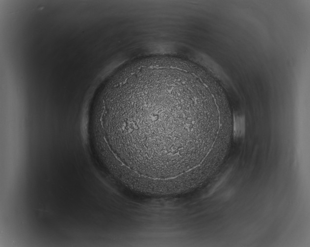 X0000101670627200807101401
