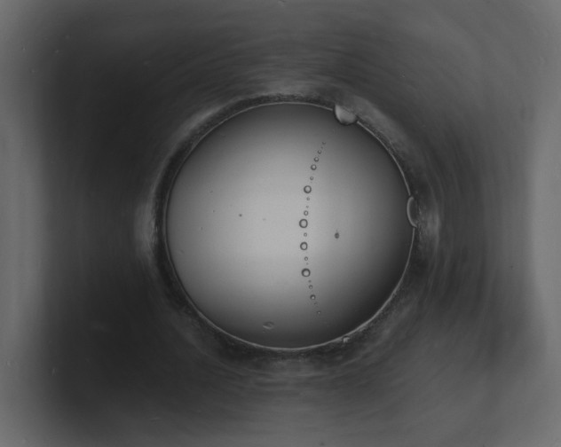 X0000101670628200807101401