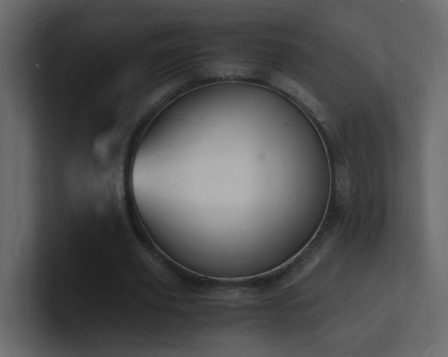 X0000101670629200807101401
