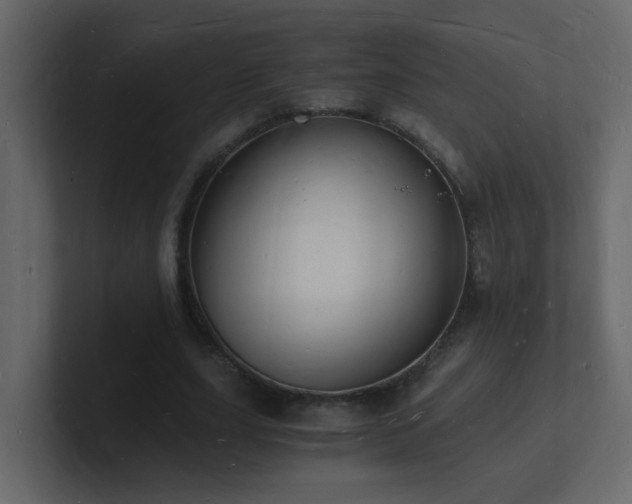 X0000101670631200807101401