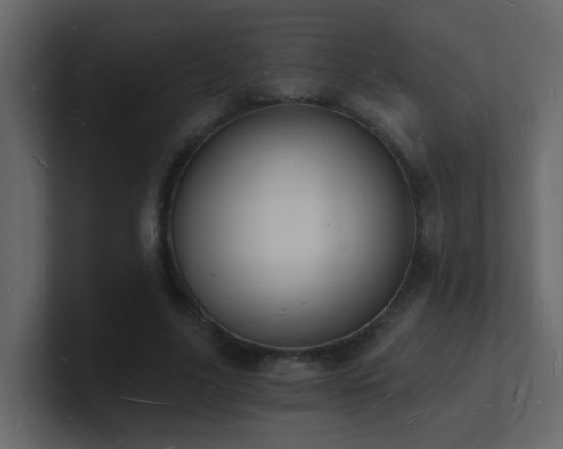 X0000101670635200807101401